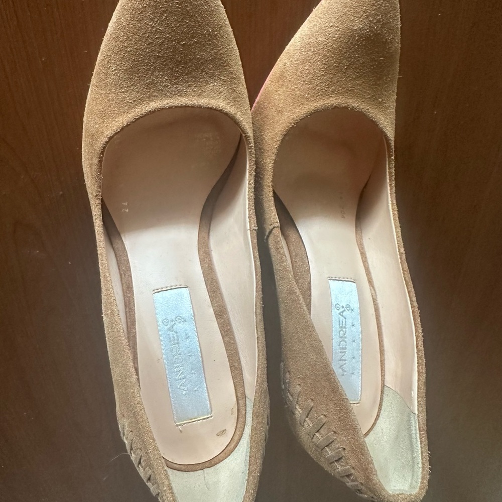 Tan Andrea Suede shoes